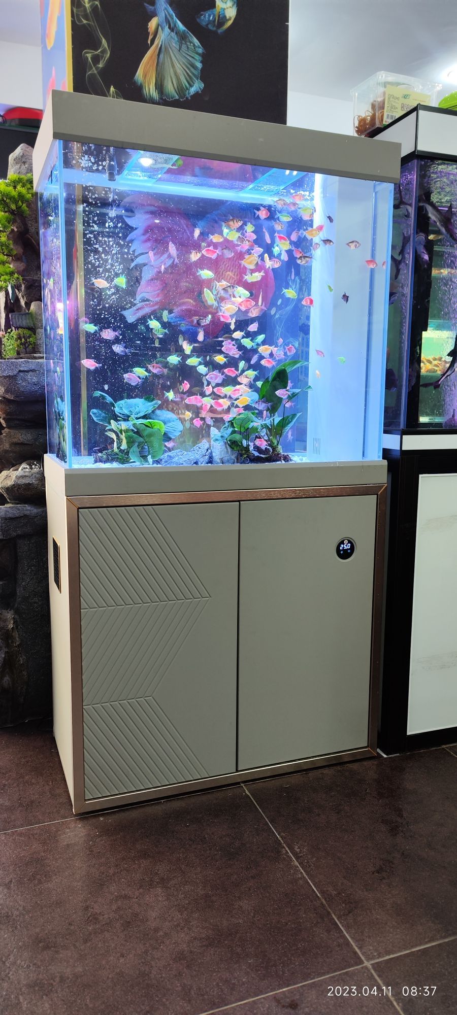 鱼来鱼往水族馆