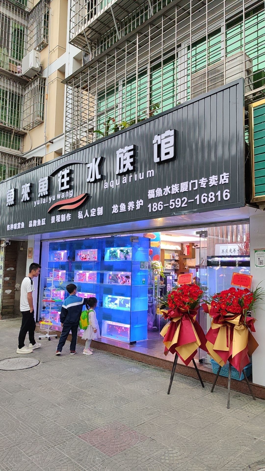 来鱼旨往唑鱼水族馆