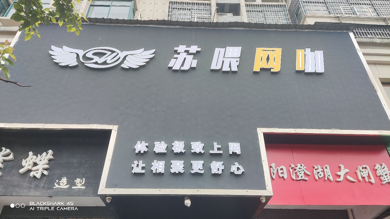 苏喂王卡凤凰名都店