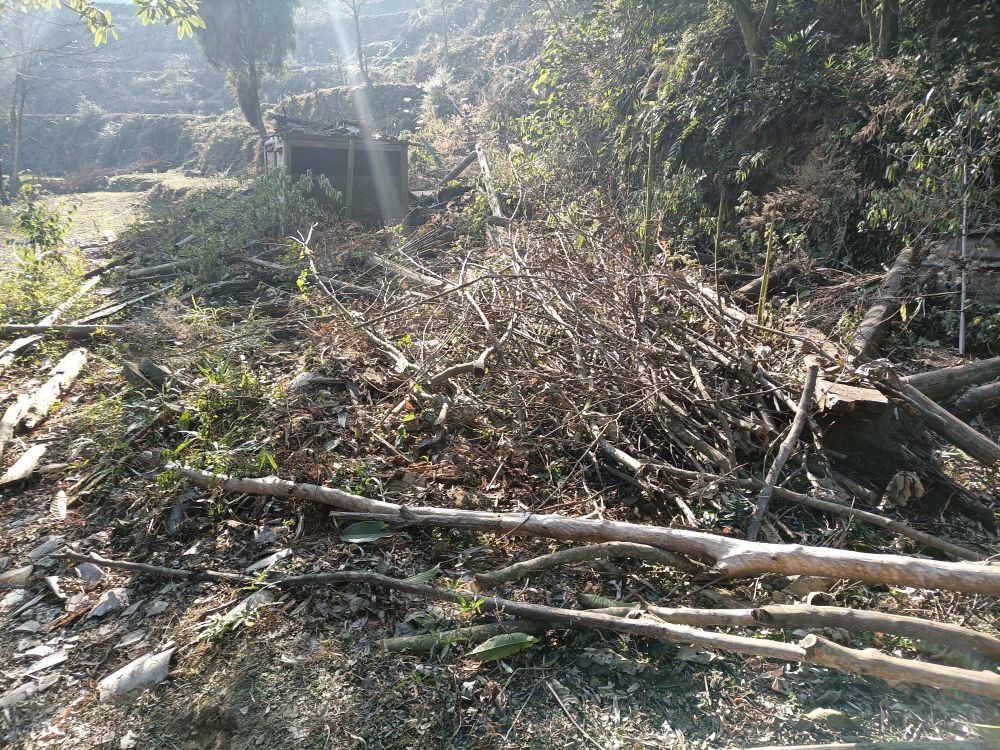 牡丹园户外亲子社区营基地