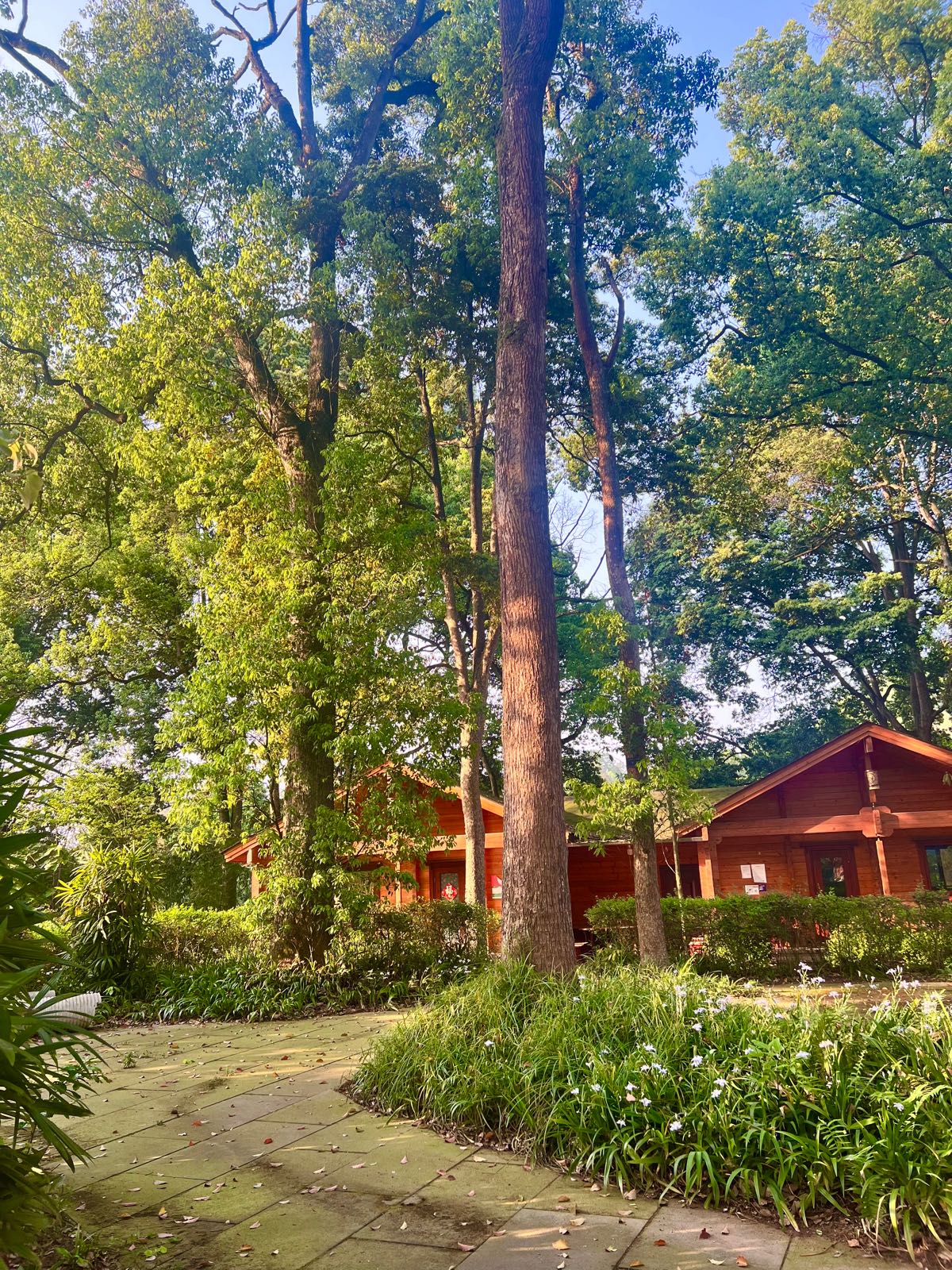 斑竹林景区