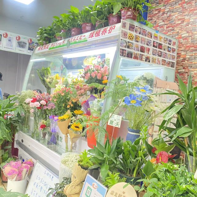 四月花植馆(关虎屯生活广场店)