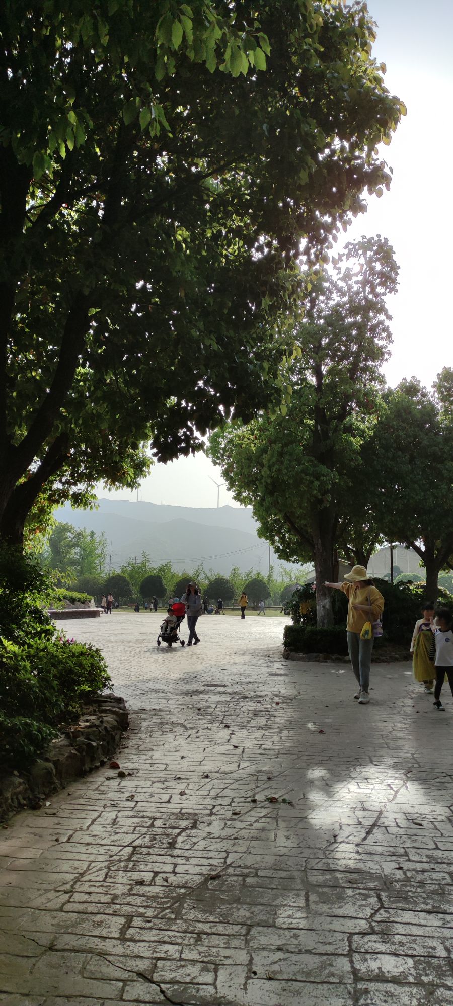 龙之梦动物园-步行区