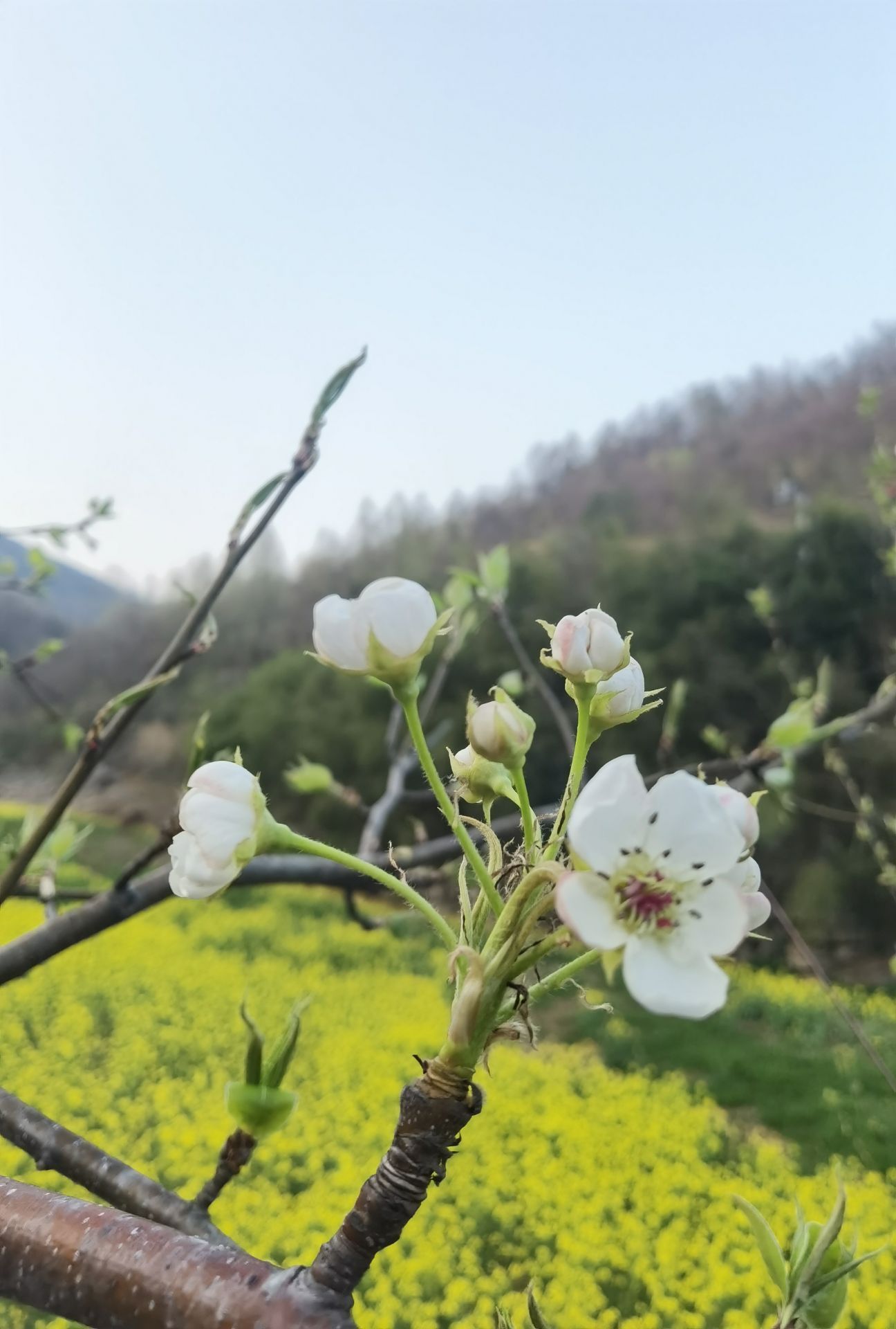 襄阳市保康县