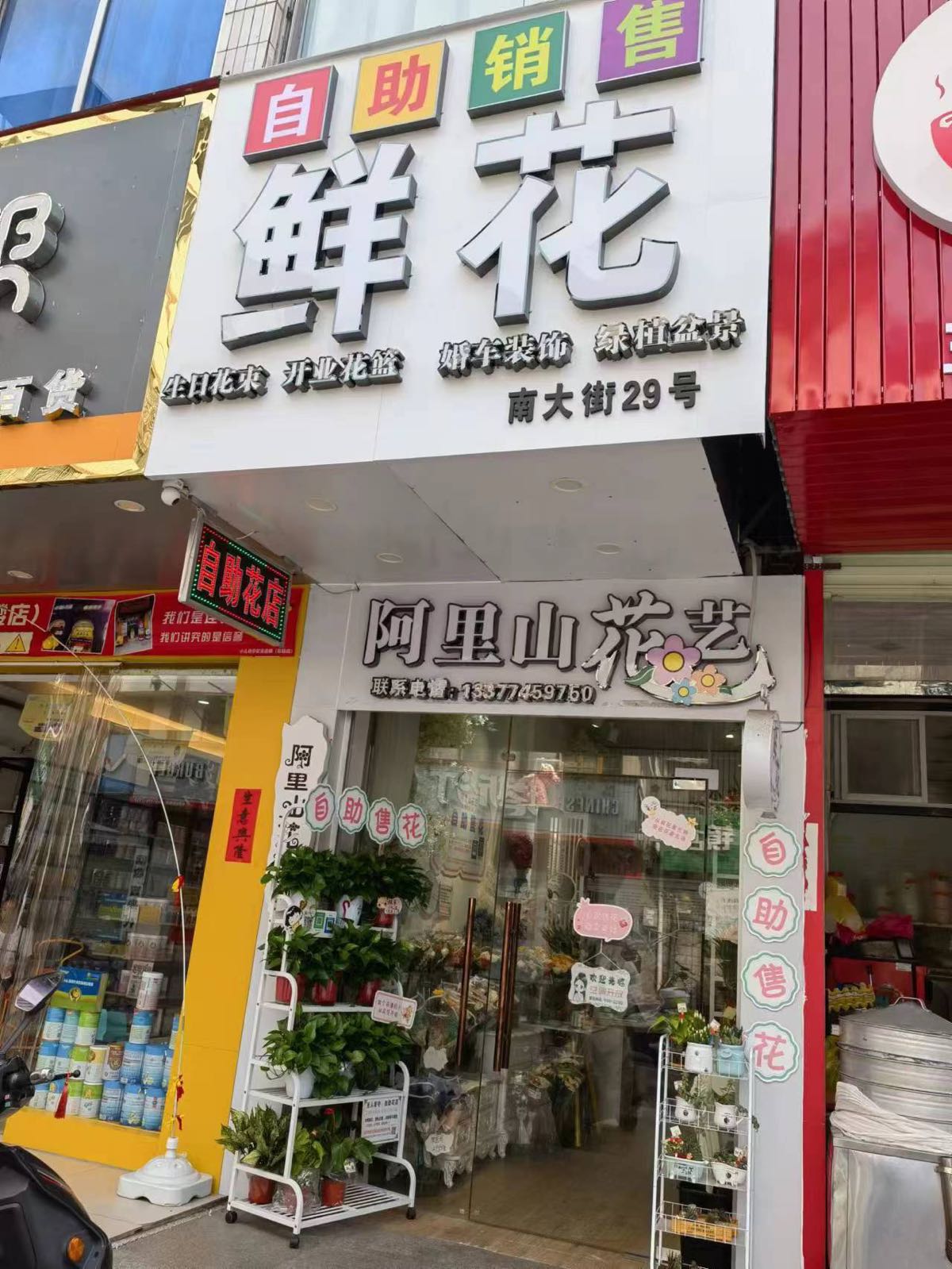 阿里山花艺(南大街店)