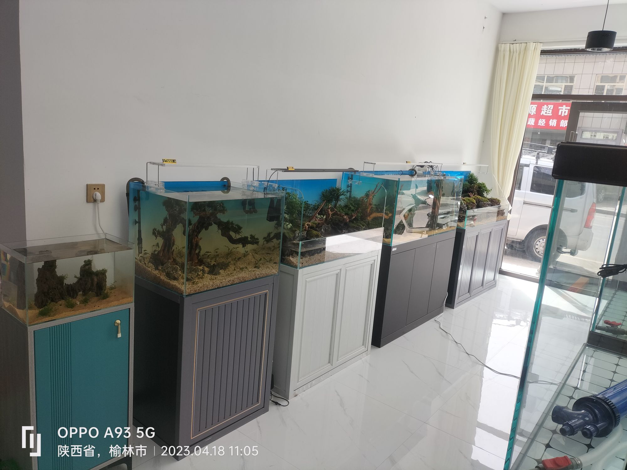 龙渝阁水族渔具馆