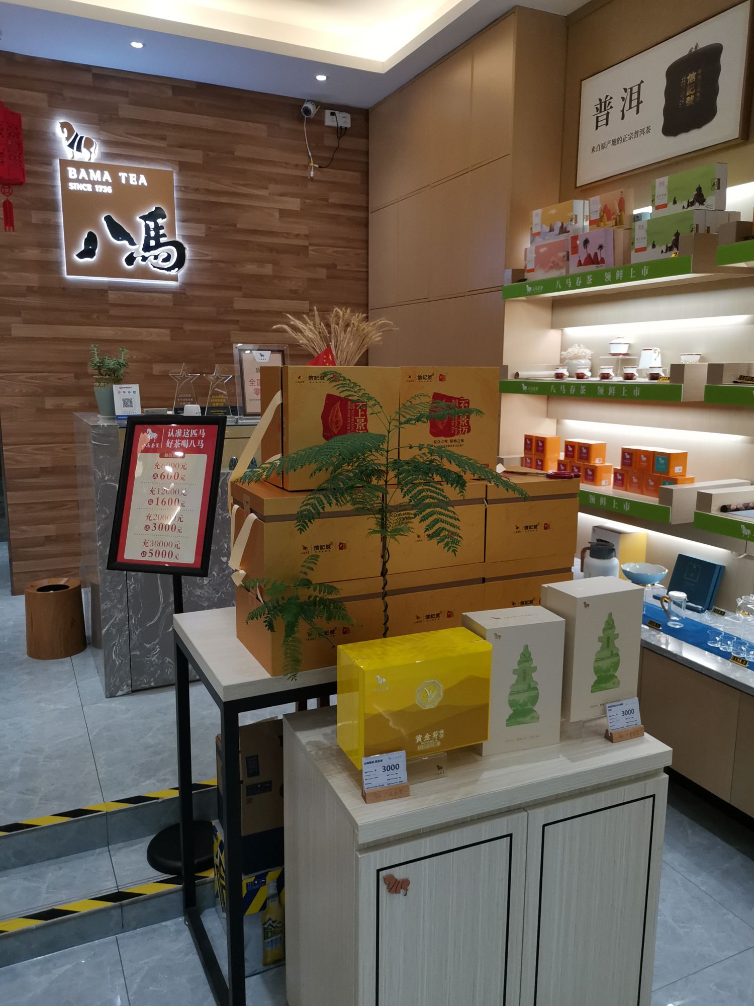 八马茶业(启福店)