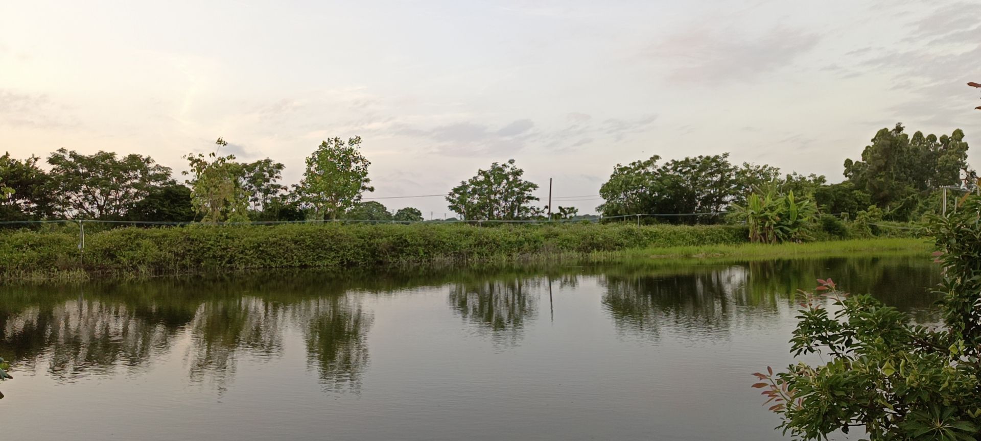 高岭村