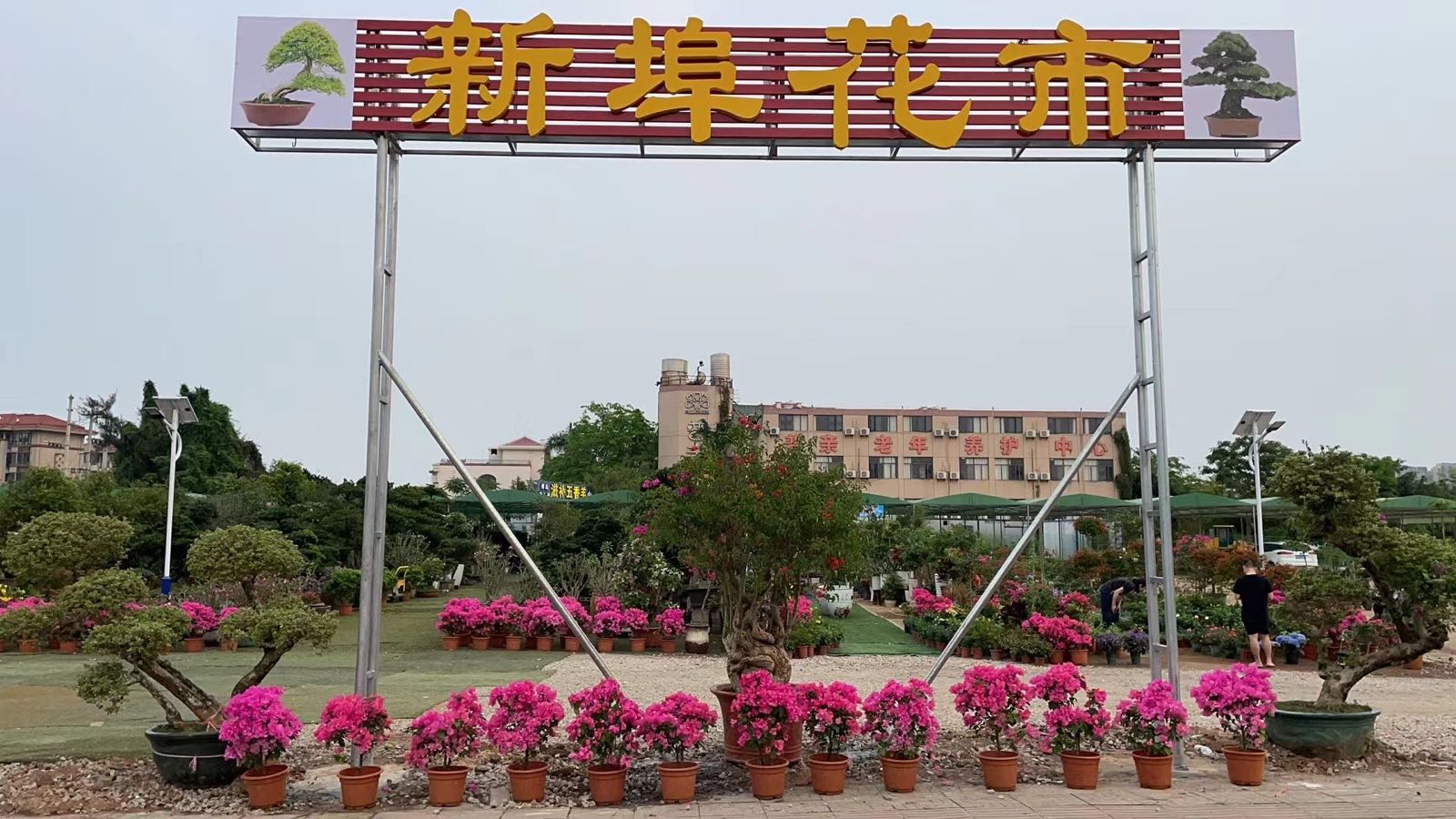 新埠花市