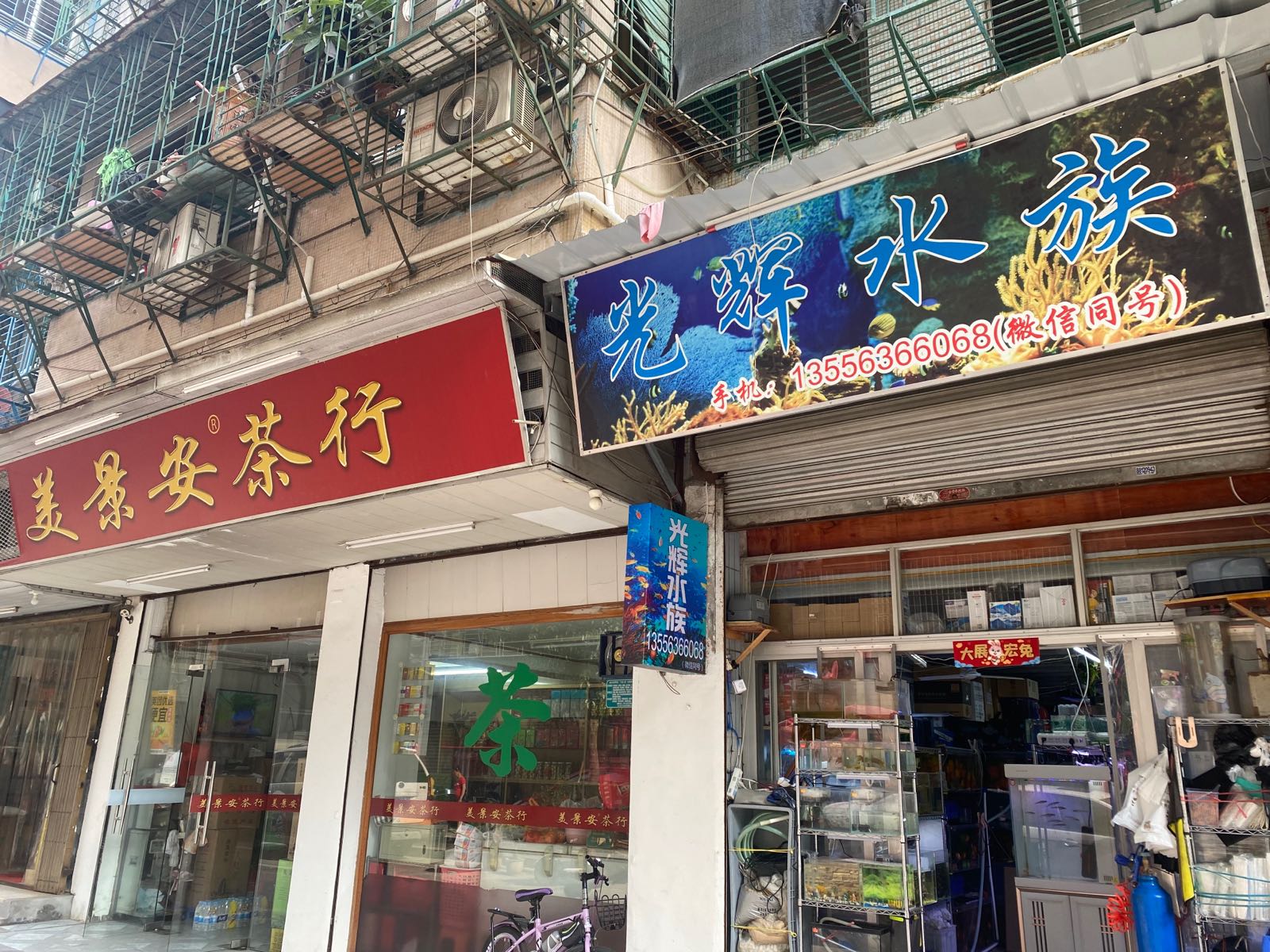 光辉水族
