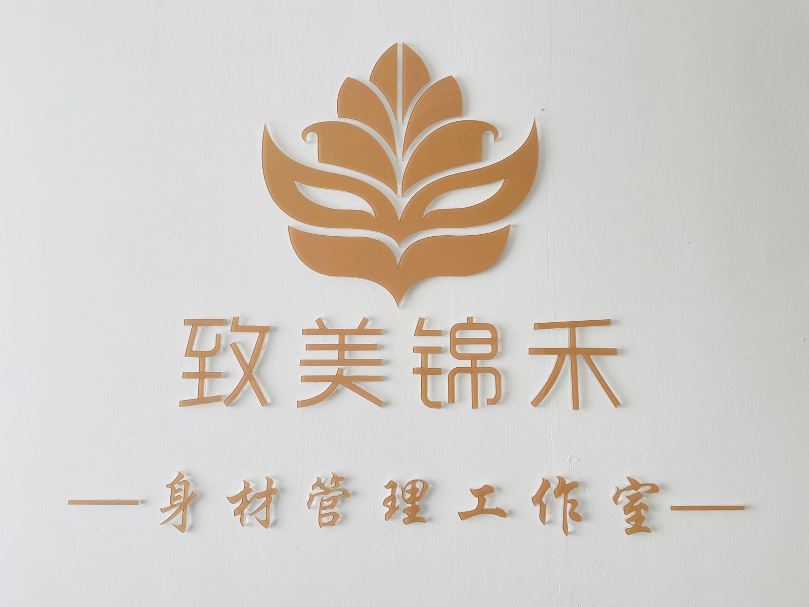 致美锦禾身材管理富力现代广场店