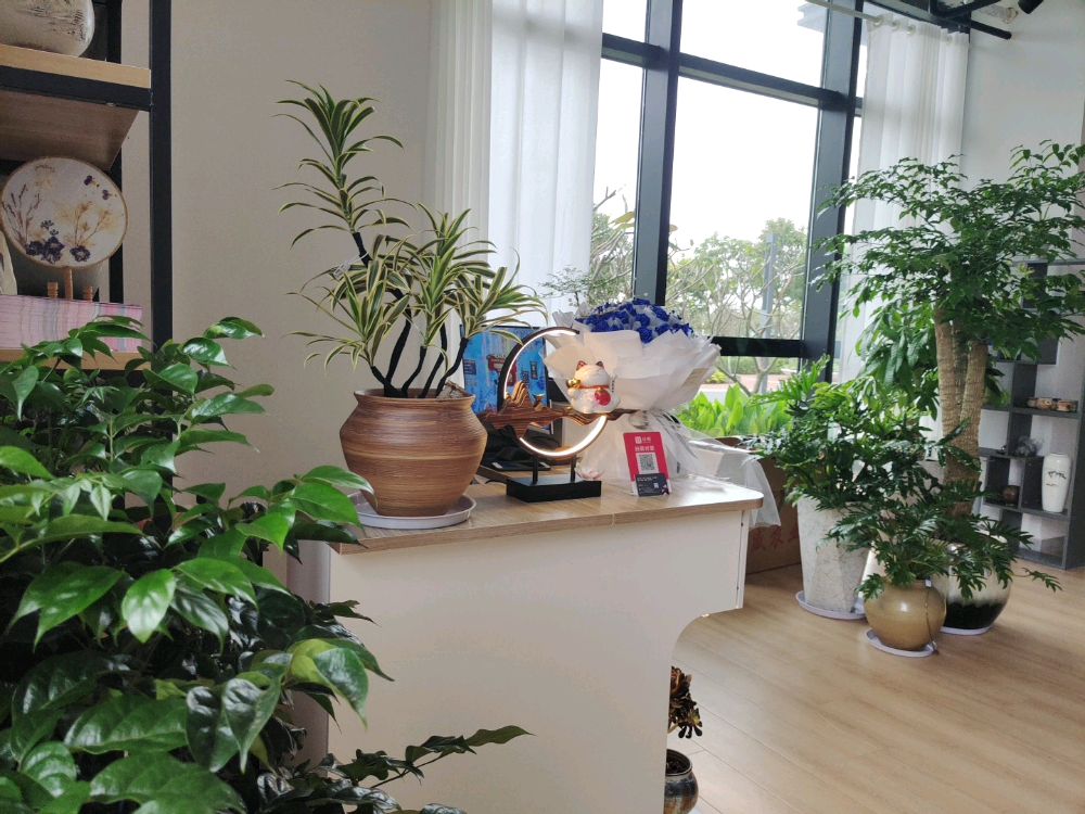 宝巾花卉(花间密码银城智谷店)