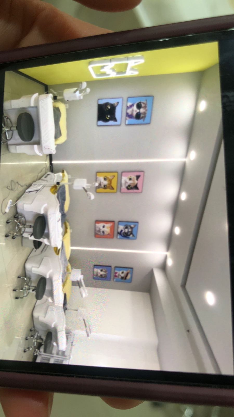 洗联猫·洗脸吧(鹤壁淇滨中凯商业街店)