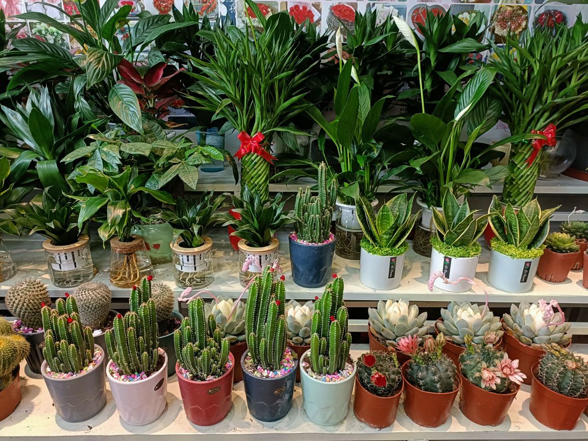 爱丽丝花艺店(山海黎巷小区店)