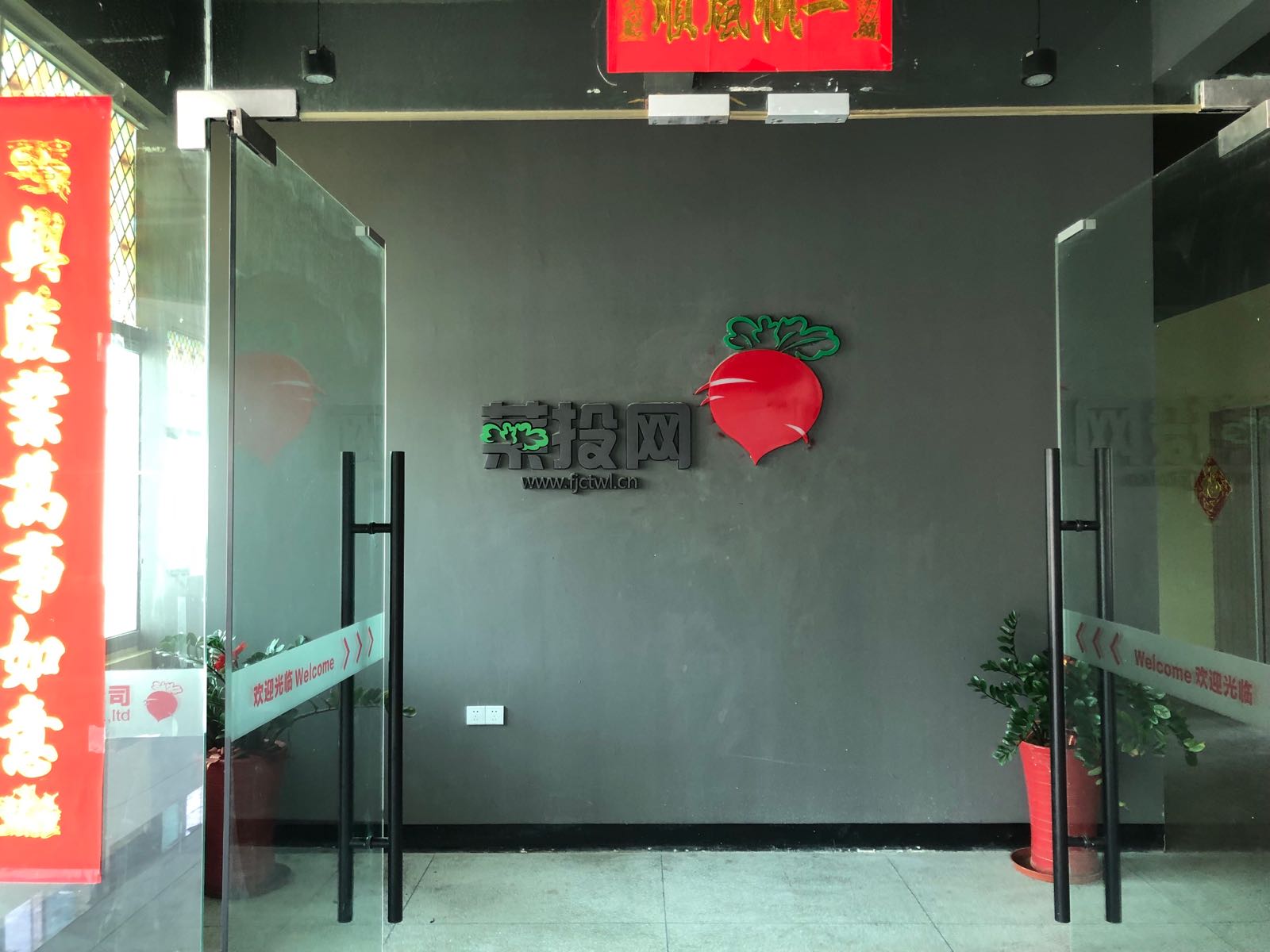 福建省菜投网络科技有限限公司