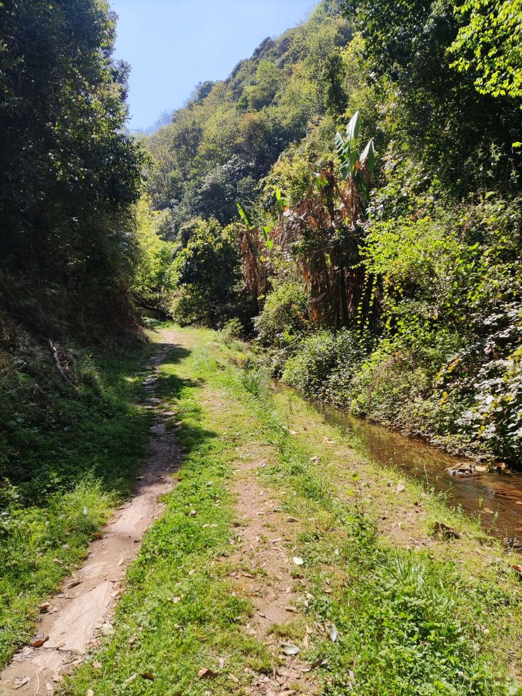 昆明西山区团结乡梦里水乡原石森林公园