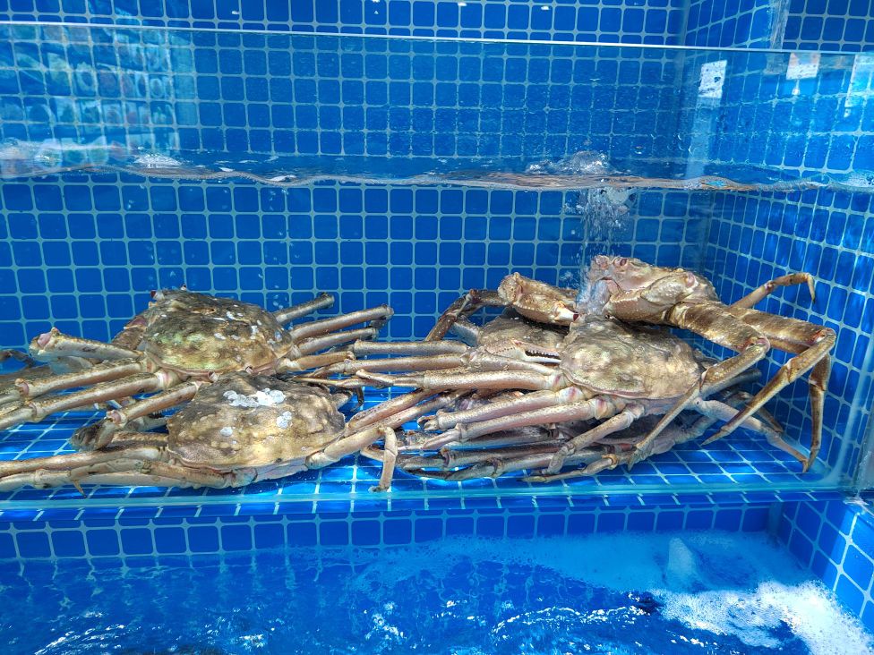 矿海液鲜涅里海鲜餐厅