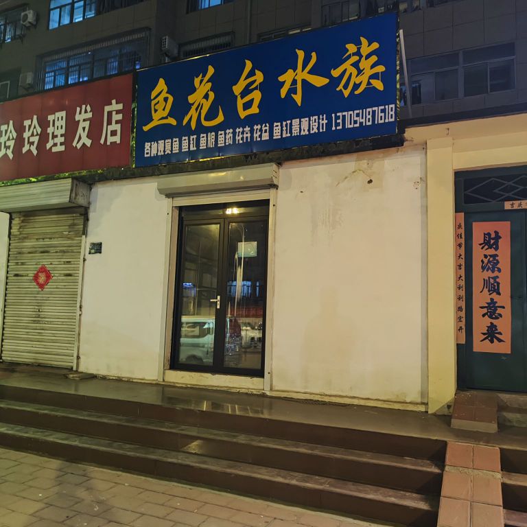 脂楔台鱼花羽水族馆