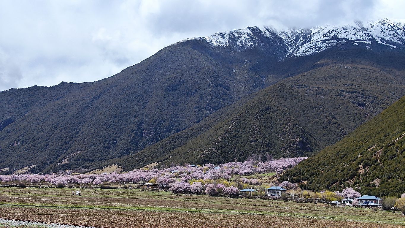 拉如村