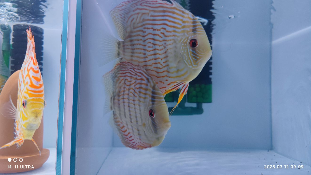 南美升态水族馆