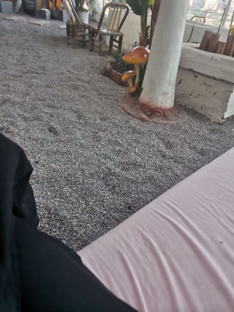 景里江景小苑自助烤肉