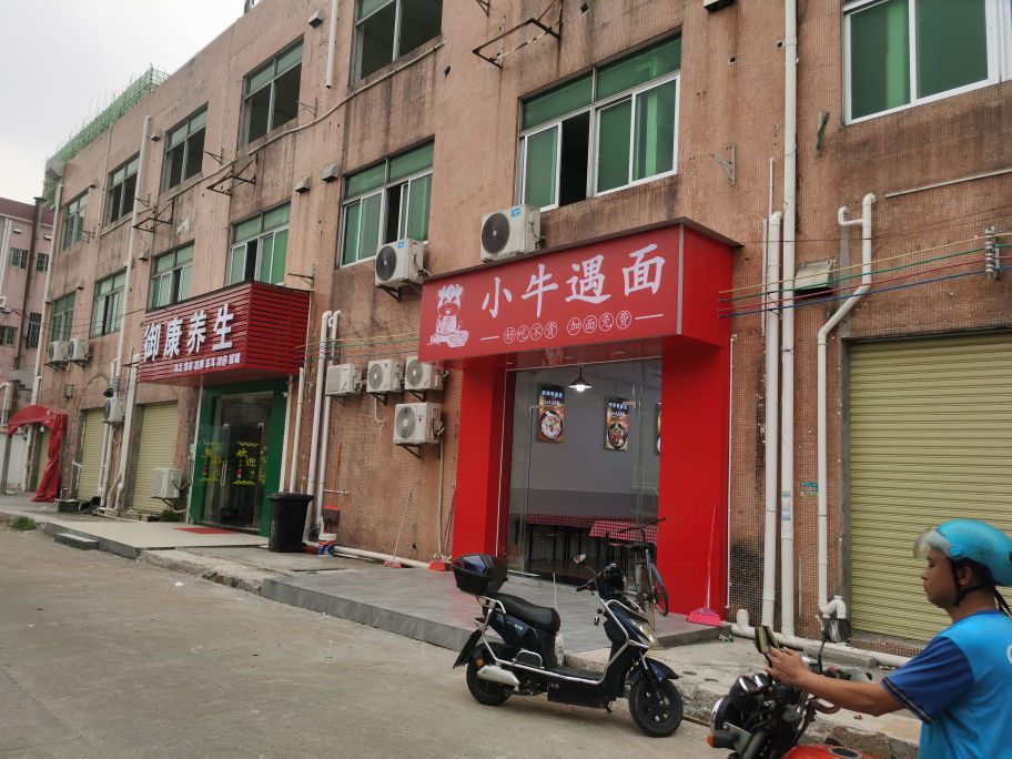 小牛遇面(高黎店)