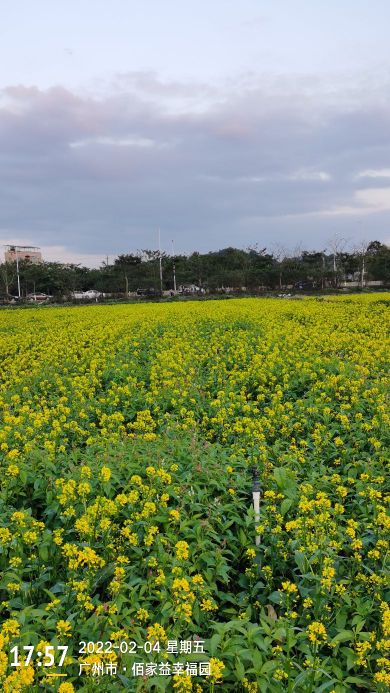 黄龙带水库