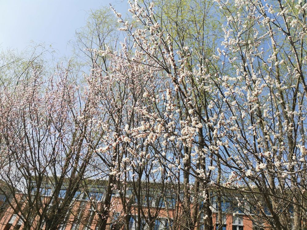 忻州师范学院(新校区)-西门