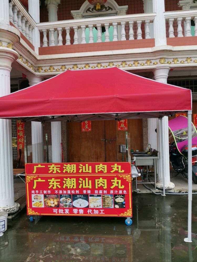 广东肉丸汕潮攫薨