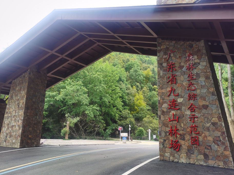 广东省九连山林场