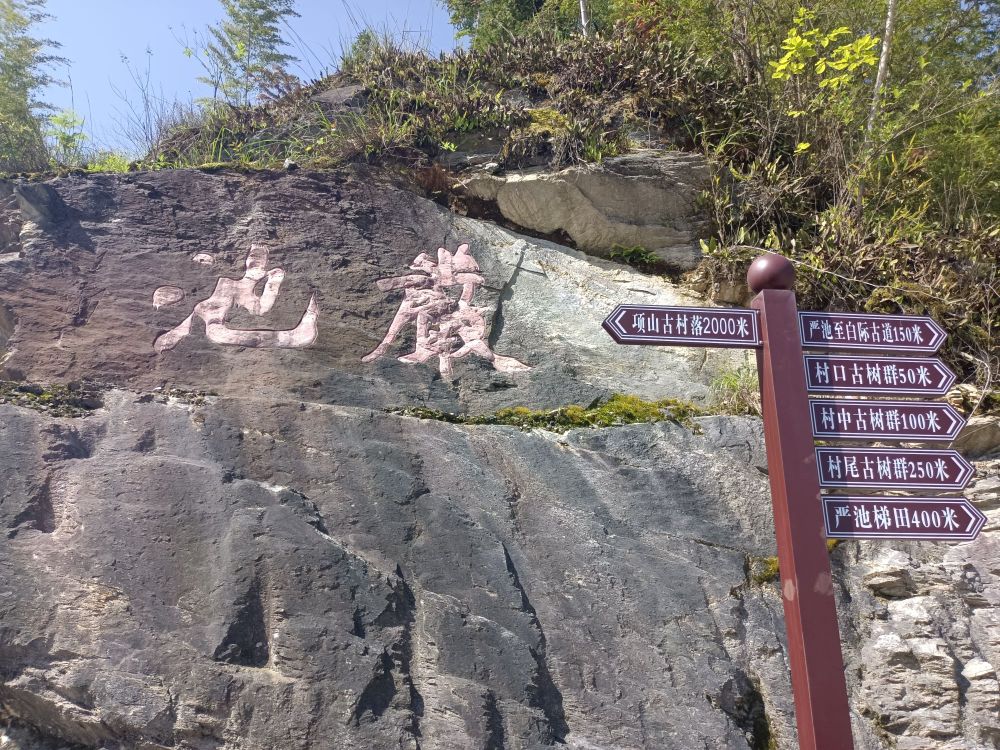 严池村