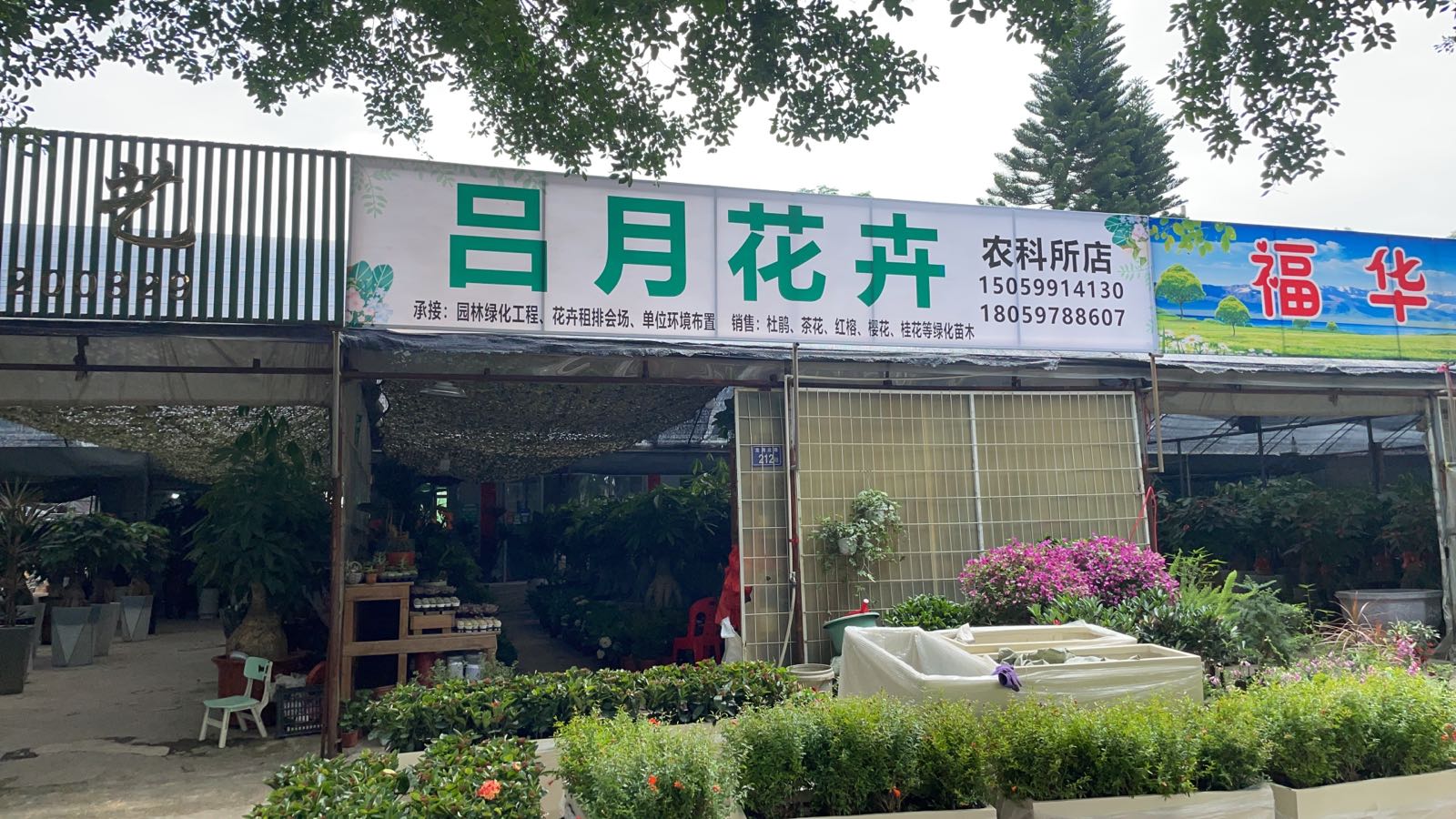 吕迎花卉(农科所店)