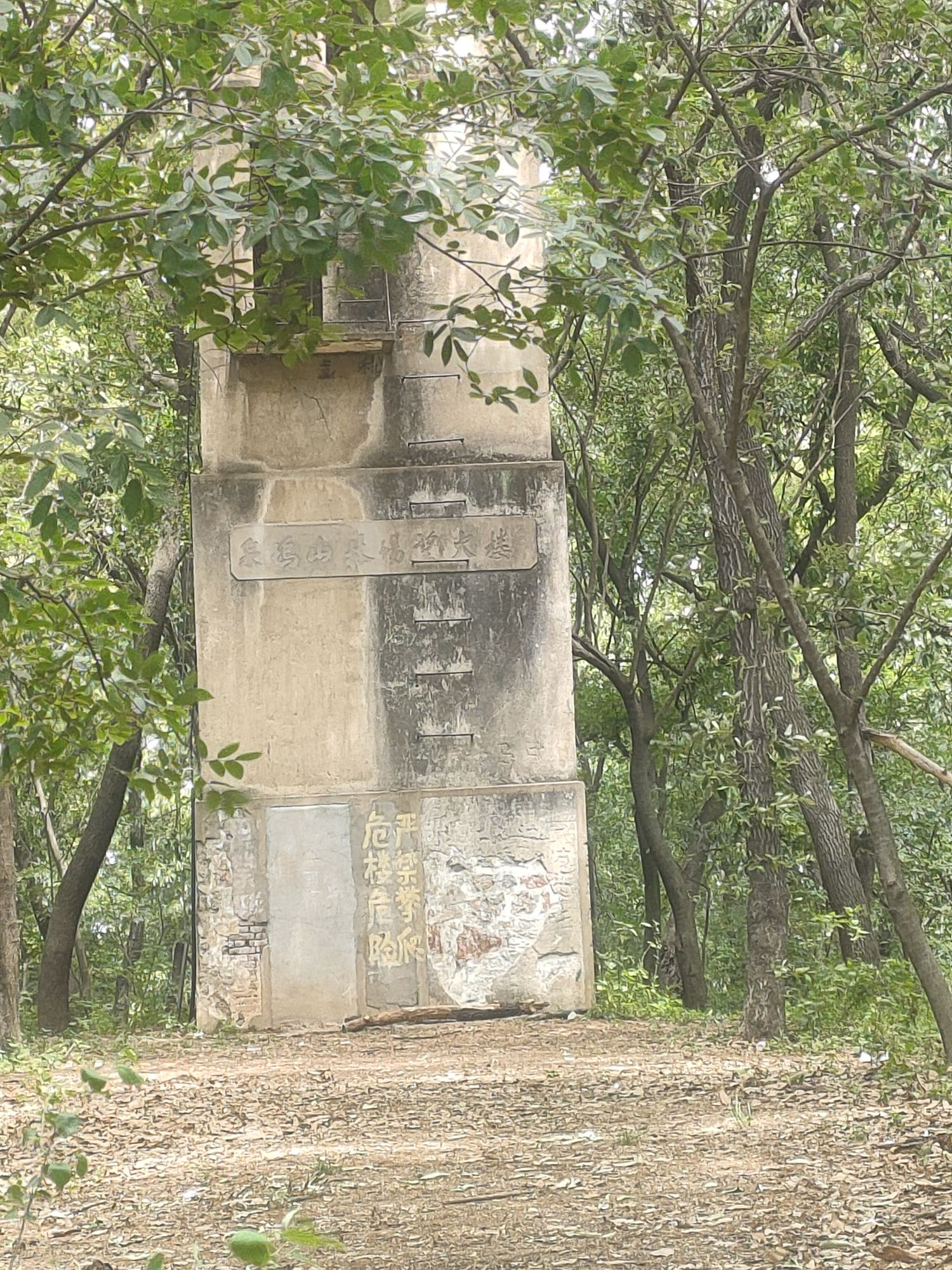 泉坞山深林公园