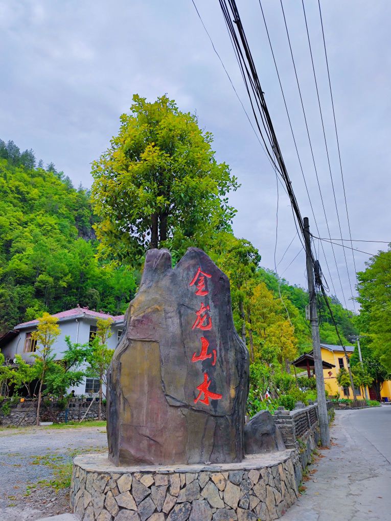 金龙山水