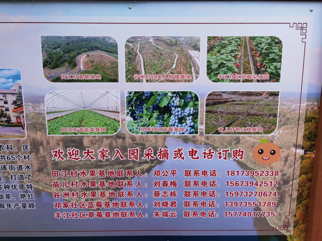 田江精品果园