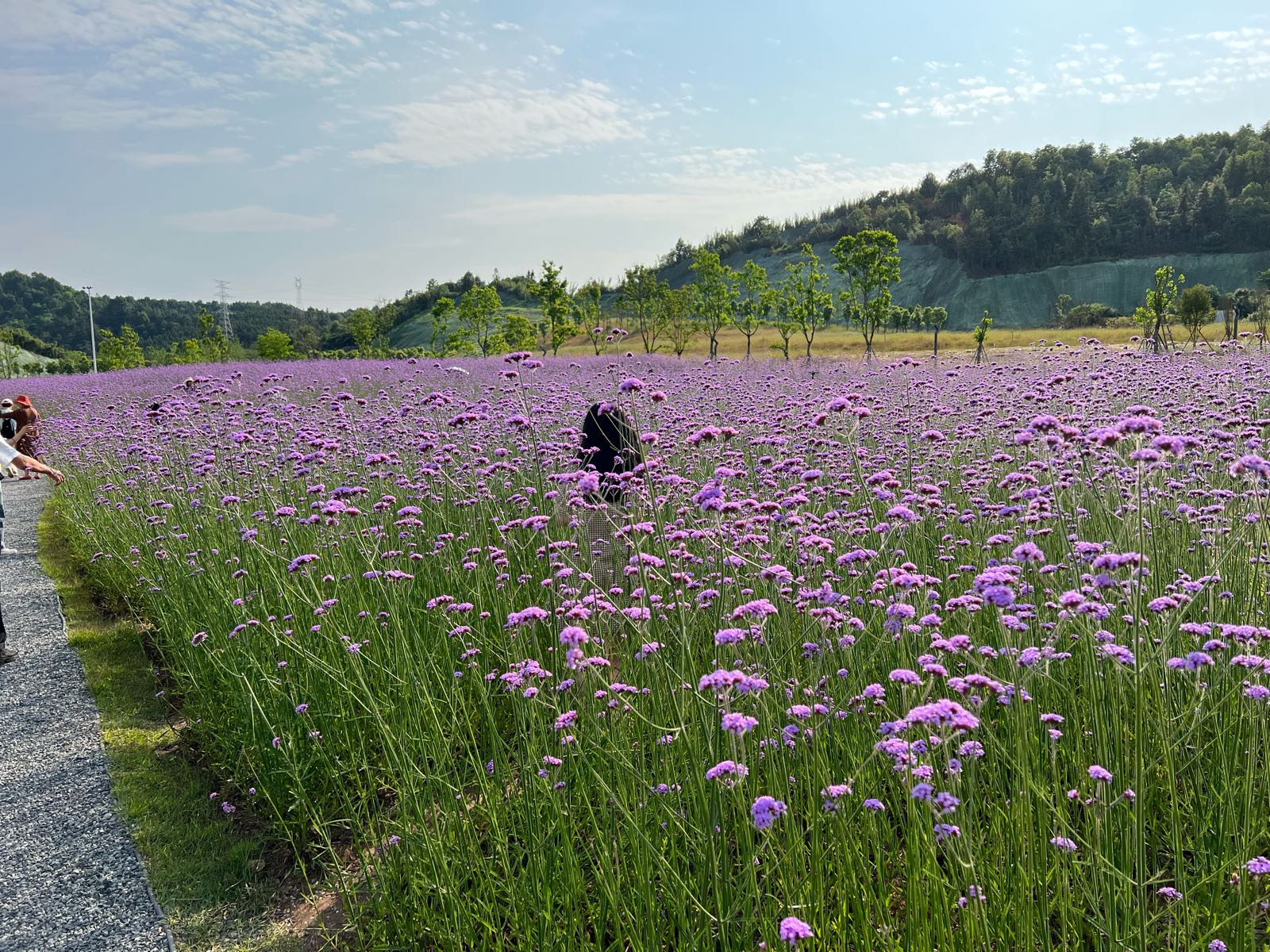 奶蜻花改海公园