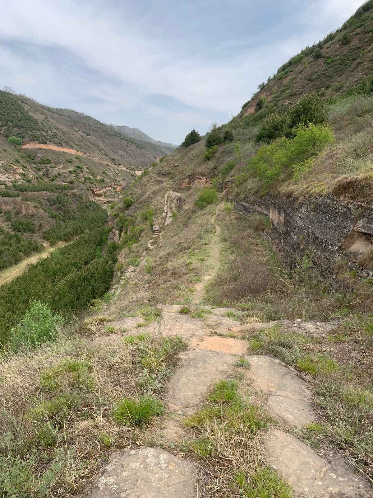 论骰坡道石古道遗址