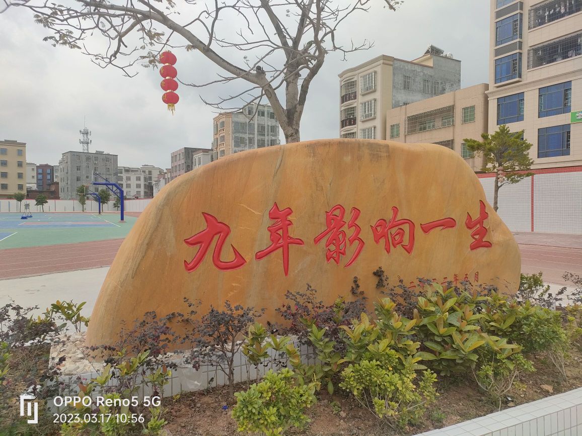 化州市儒城学校