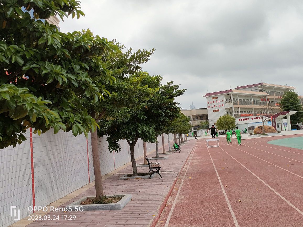 化州市儒城学校