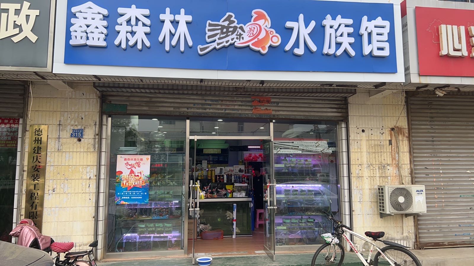 鑫森林渔乐圈水族馆(解放南大道店)