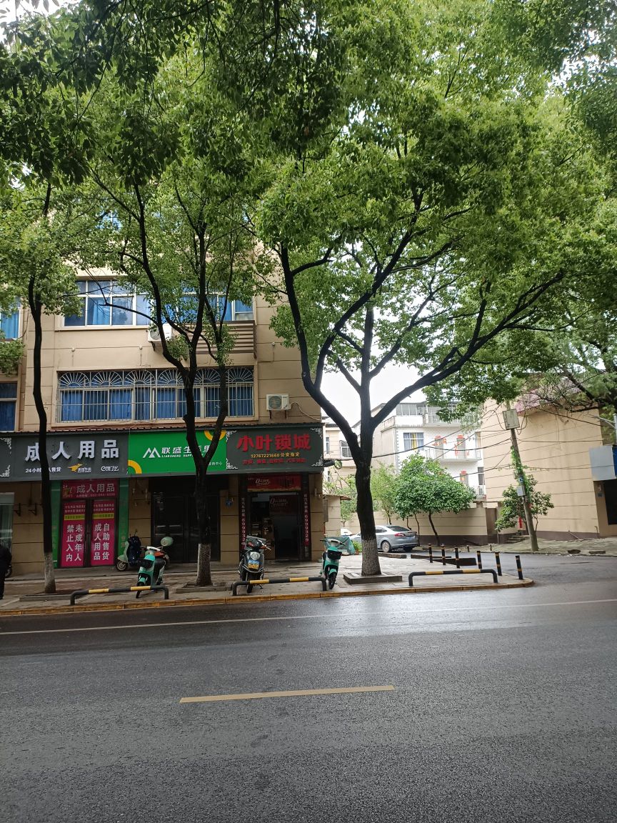 小叶锁城