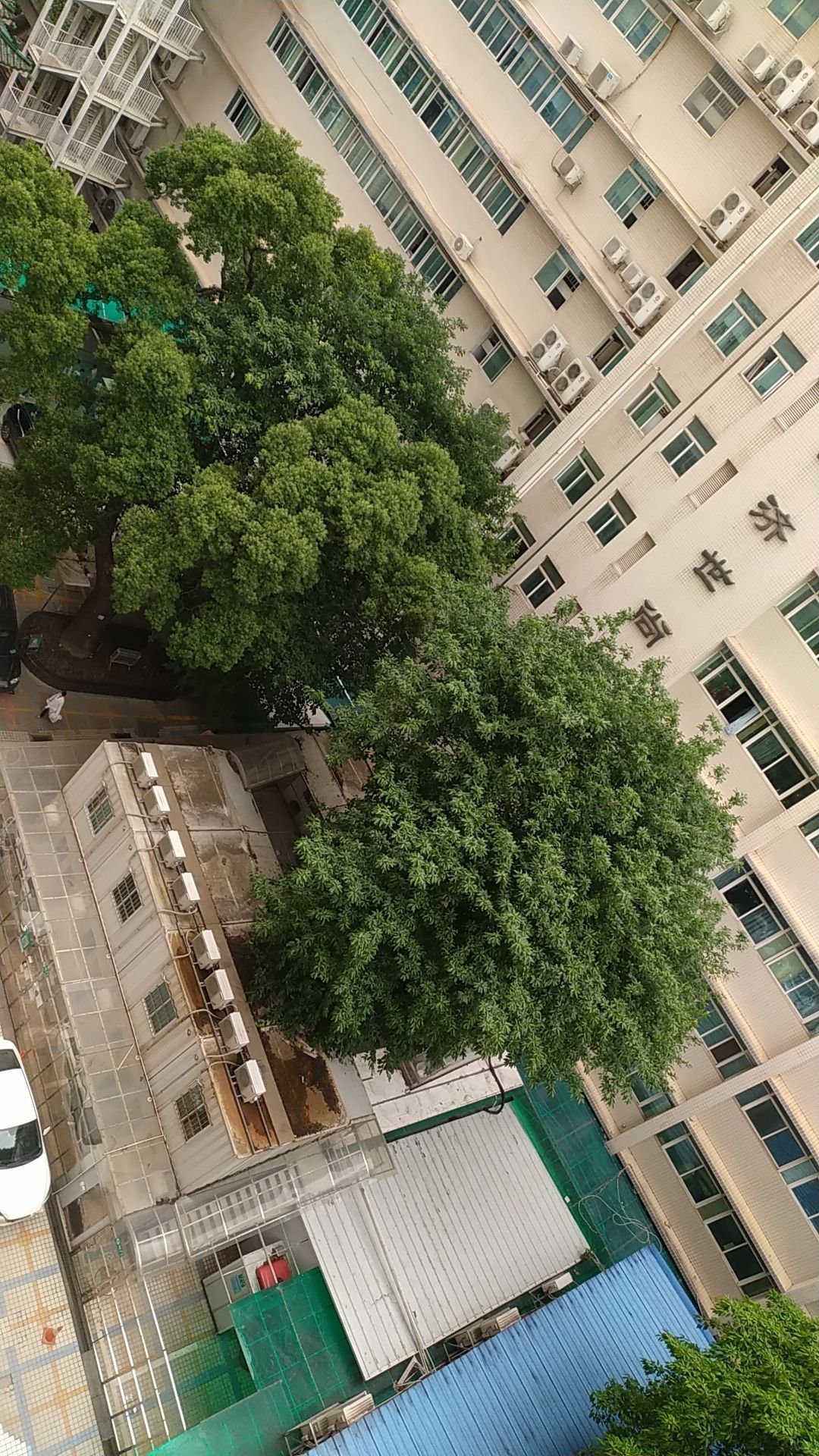 广州补实堂书店优先公司