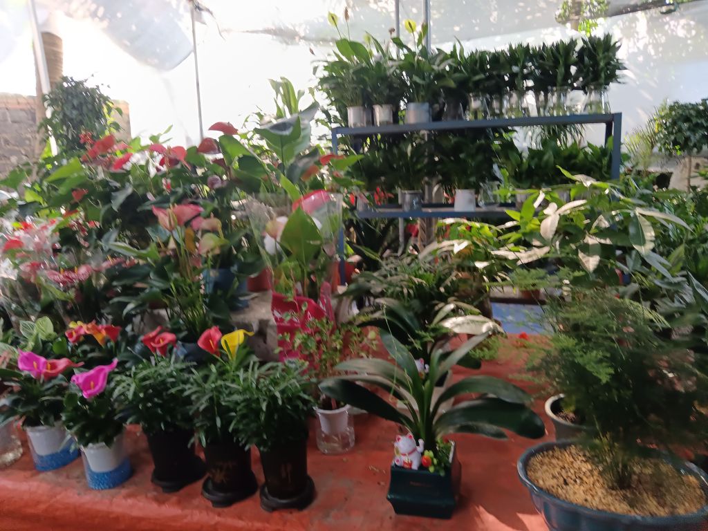 霞霞花店