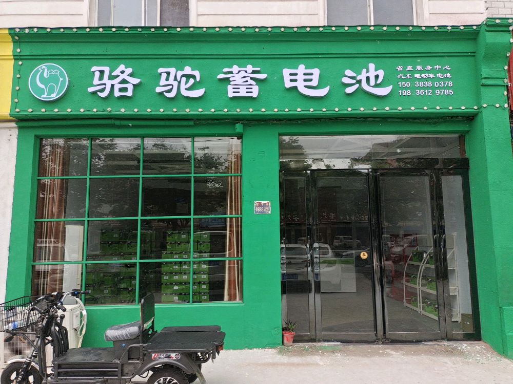 骆驼蓄电池(兴华路店)
