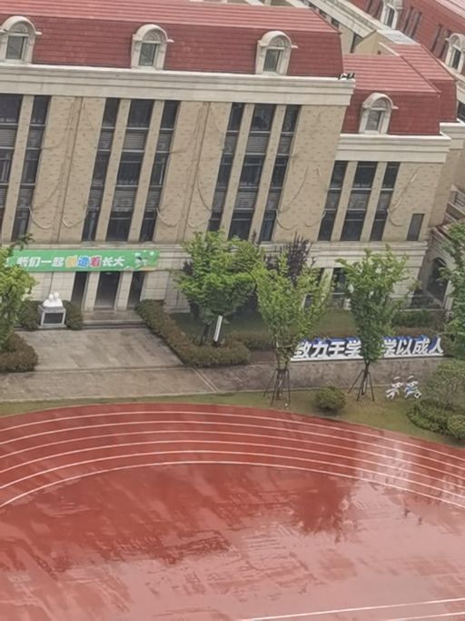 南京市力人学校(九家圩路校区)