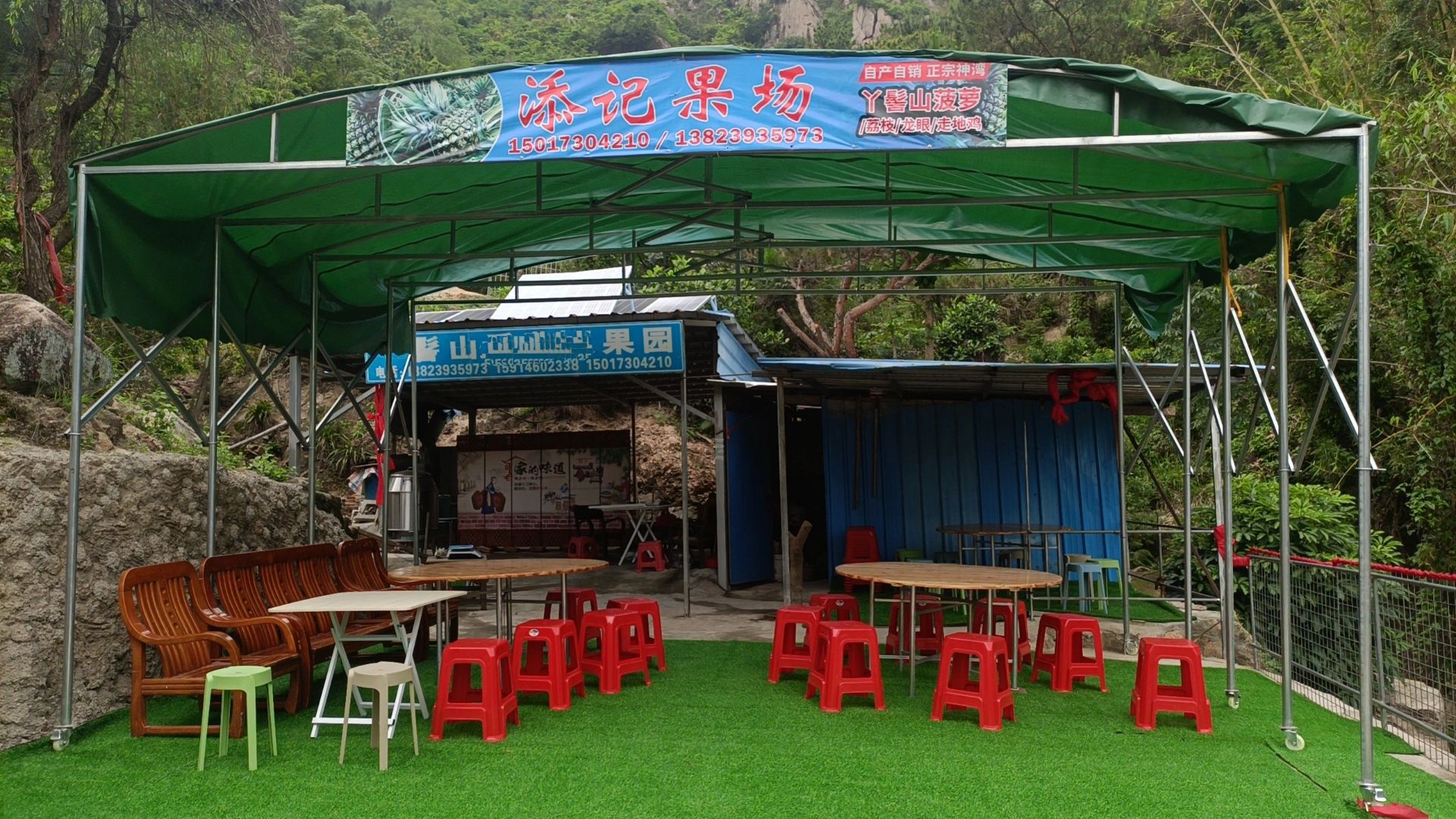 神湾菠萝丫髻山添记果场