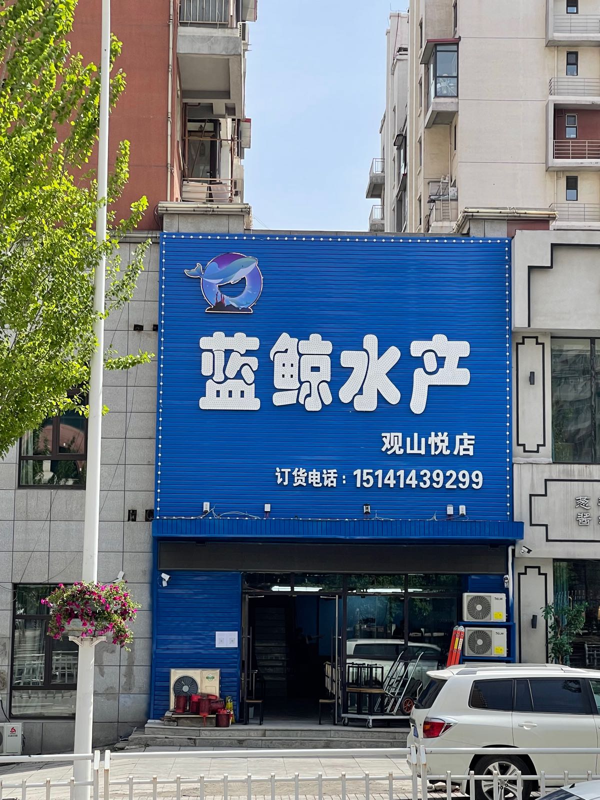 蕾蓝卢嗤鲸水产