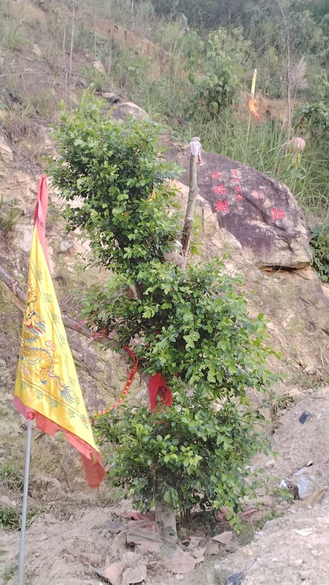 翔安区新圩镇七里村七宝宫