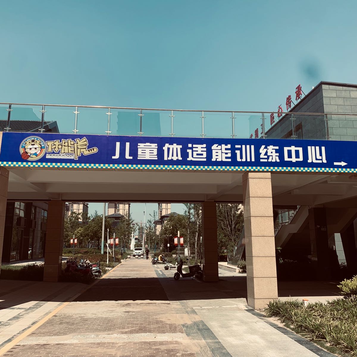 体能虎儿童体适能篮球馆