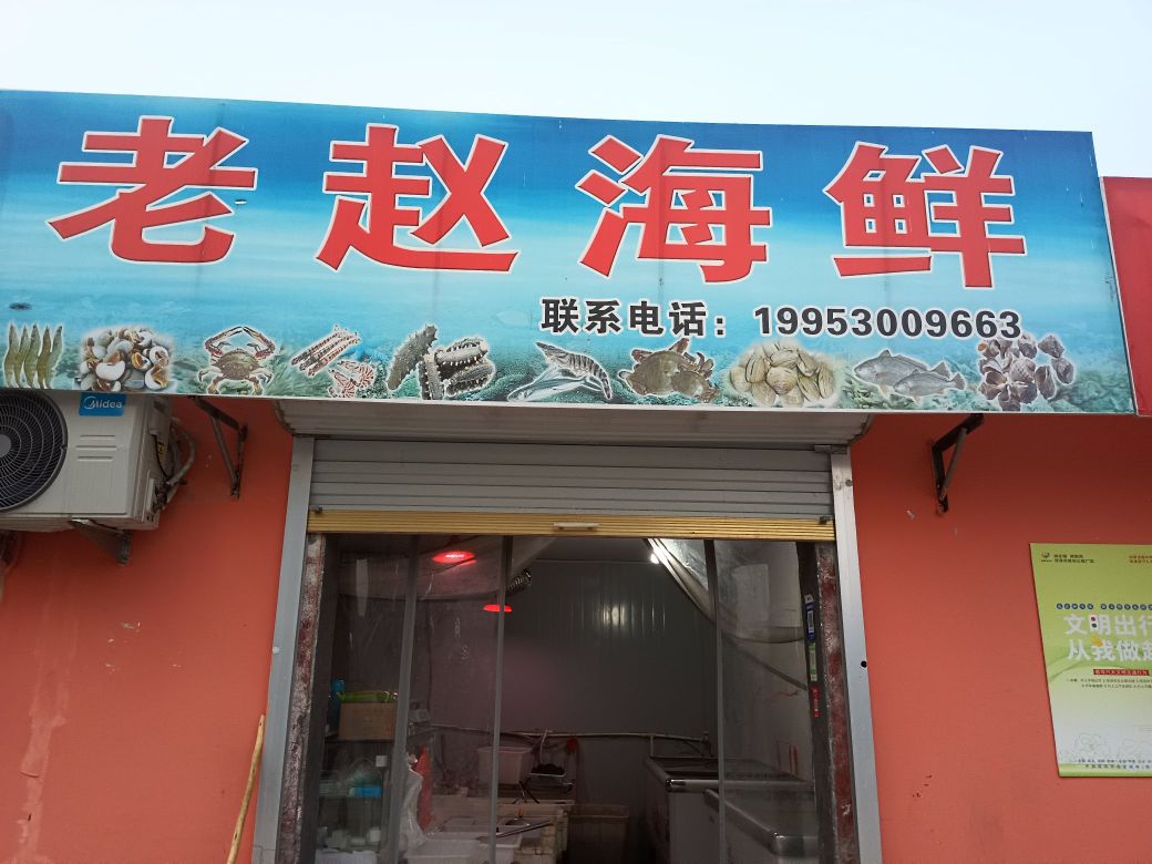 老赵海先